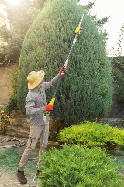 Leaf Removal in Milford, UT